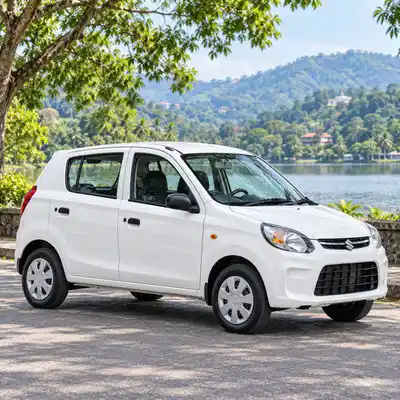 Alto Car Rent & Hire