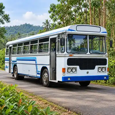 BUS Hire & Tour