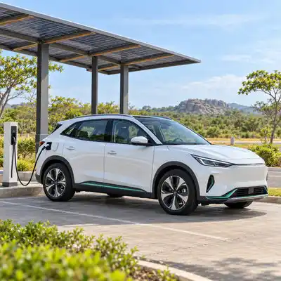 Electric Vehicle Rent & Hire