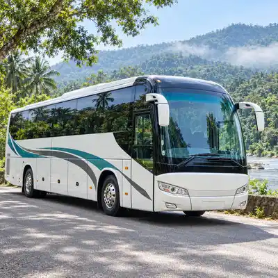 Tourism busess Hire & Tour