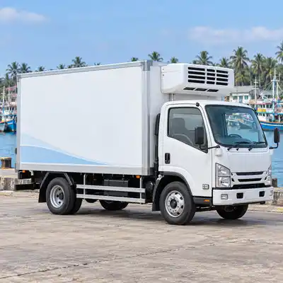 Freezer Rent & Hire